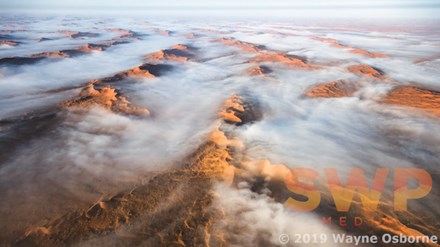 Desert Mist WO-0887
